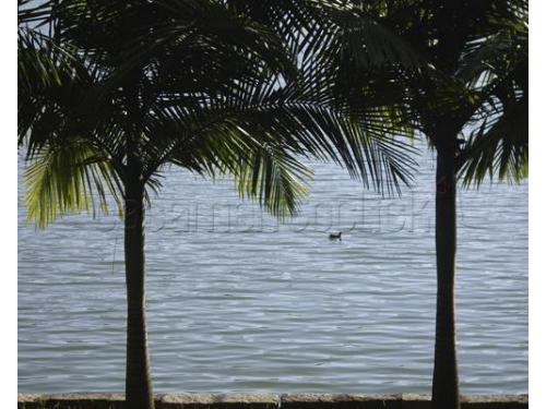 Um lugar incrível, perfeito para sua celebração