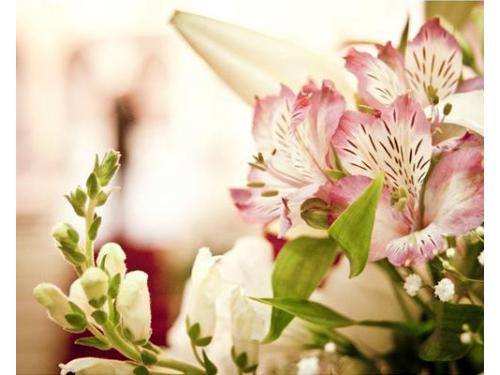 Estudio Nanda Rodrigues São Paulo