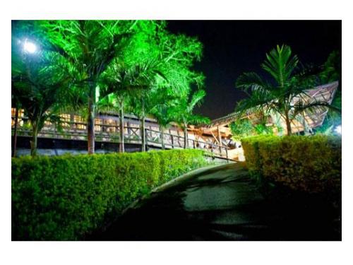 Espaço para casamento rodeado de natureza