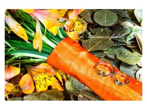 Vinícius fadul fotografia