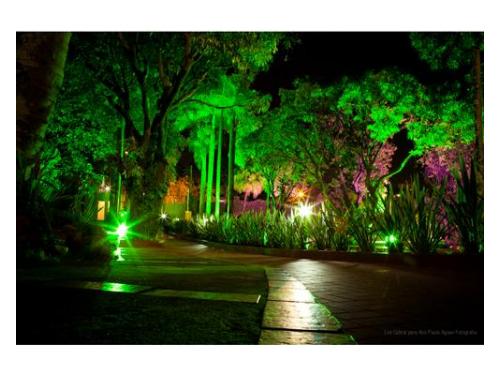 Atendimento diferenciado