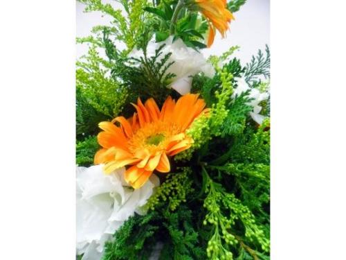 Maria flor decorações