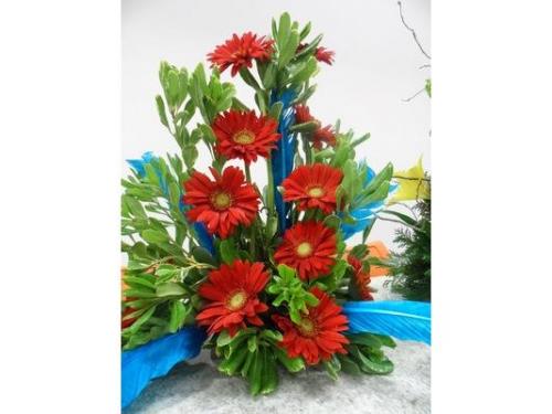 Maria flor decorações