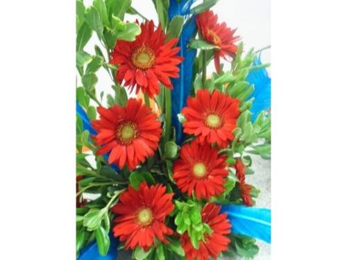 Maria flor decorações