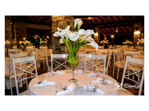 Nice flores Taubaté