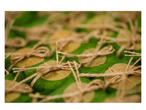 Ajudando você no sucesso do seu casamento