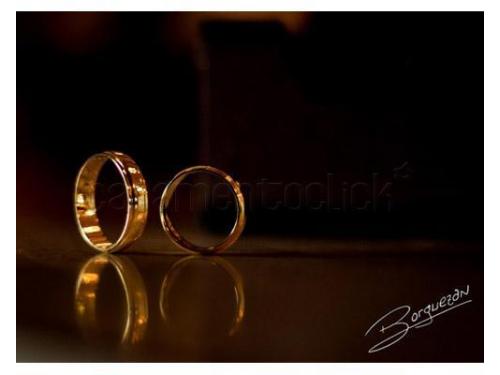 Borguezan fotografias