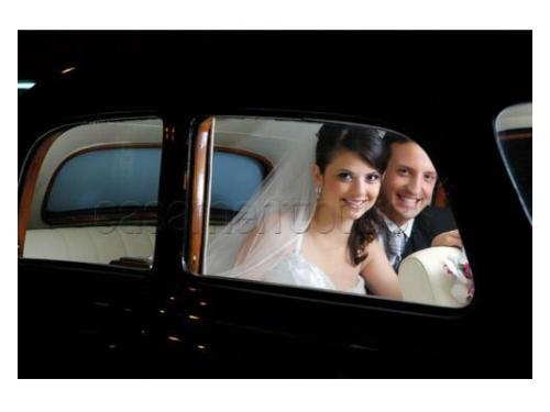 Borguezan fotografias