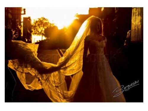 Borguezan fotografias