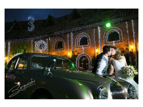 Borguezan fotografias