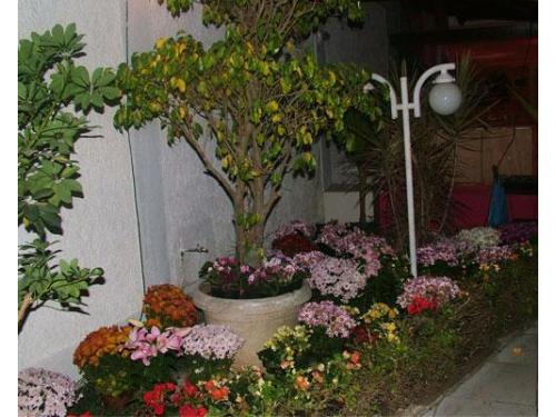 Projetos de decoração para diversos ambientes