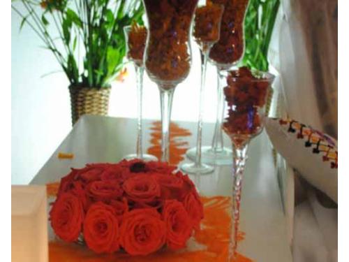 Myla festas e eventos Rio De Janeiro