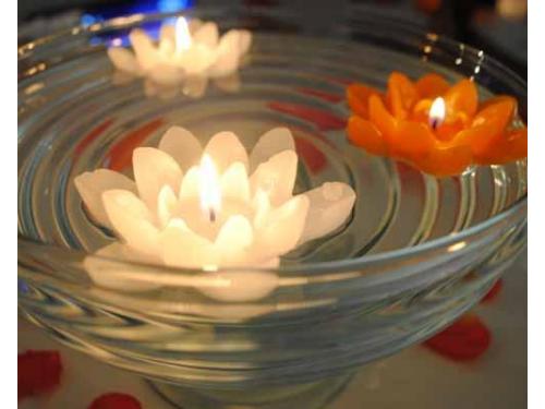 Decoração em harmonia com sua festa.