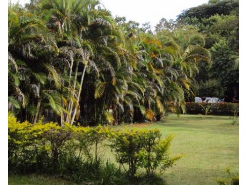 Recanto do Sol 2000 espaço para eventos