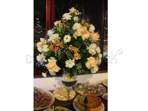 Tudo do jeito que você sempre sonhou