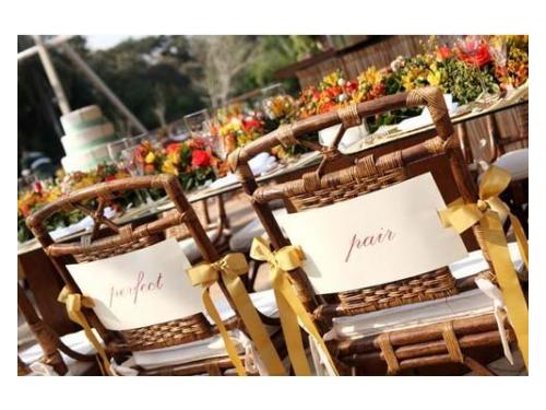 Cadeira decorada perfect pair