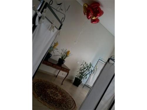 Lolla e Manollo, beleza em São Paulo