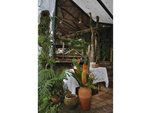 Espaço perfeito para seu casamento no campo