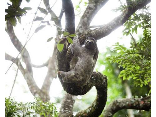 Espaço perfeito para seu casamento no campo