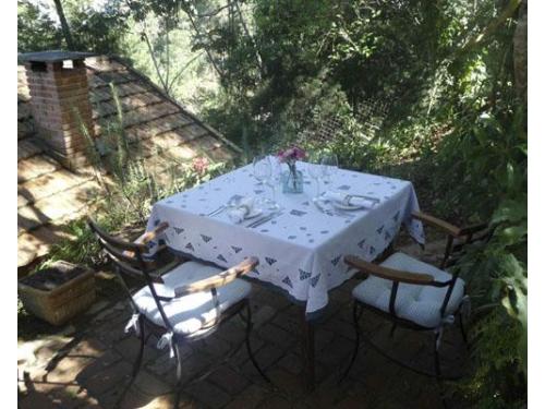 Espaço cercado pela natureza