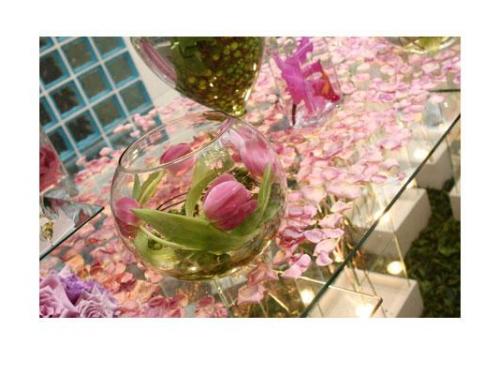 Pacotes que se adequam às suas necessidades