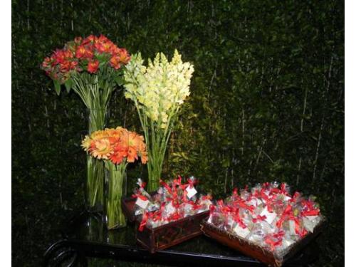 Festmel casa de festas - espaço para casamento