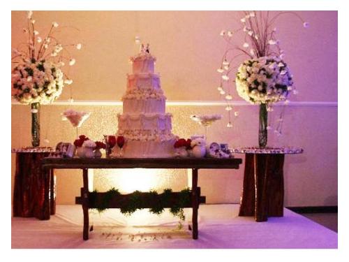 Trazendo elegância para sua festa.