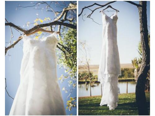 Rodrigo Rodrigues fotografia