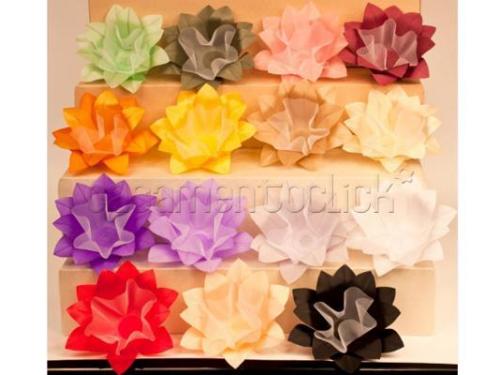 Sônia cor verde água, verde musgo, rosa, bordô...